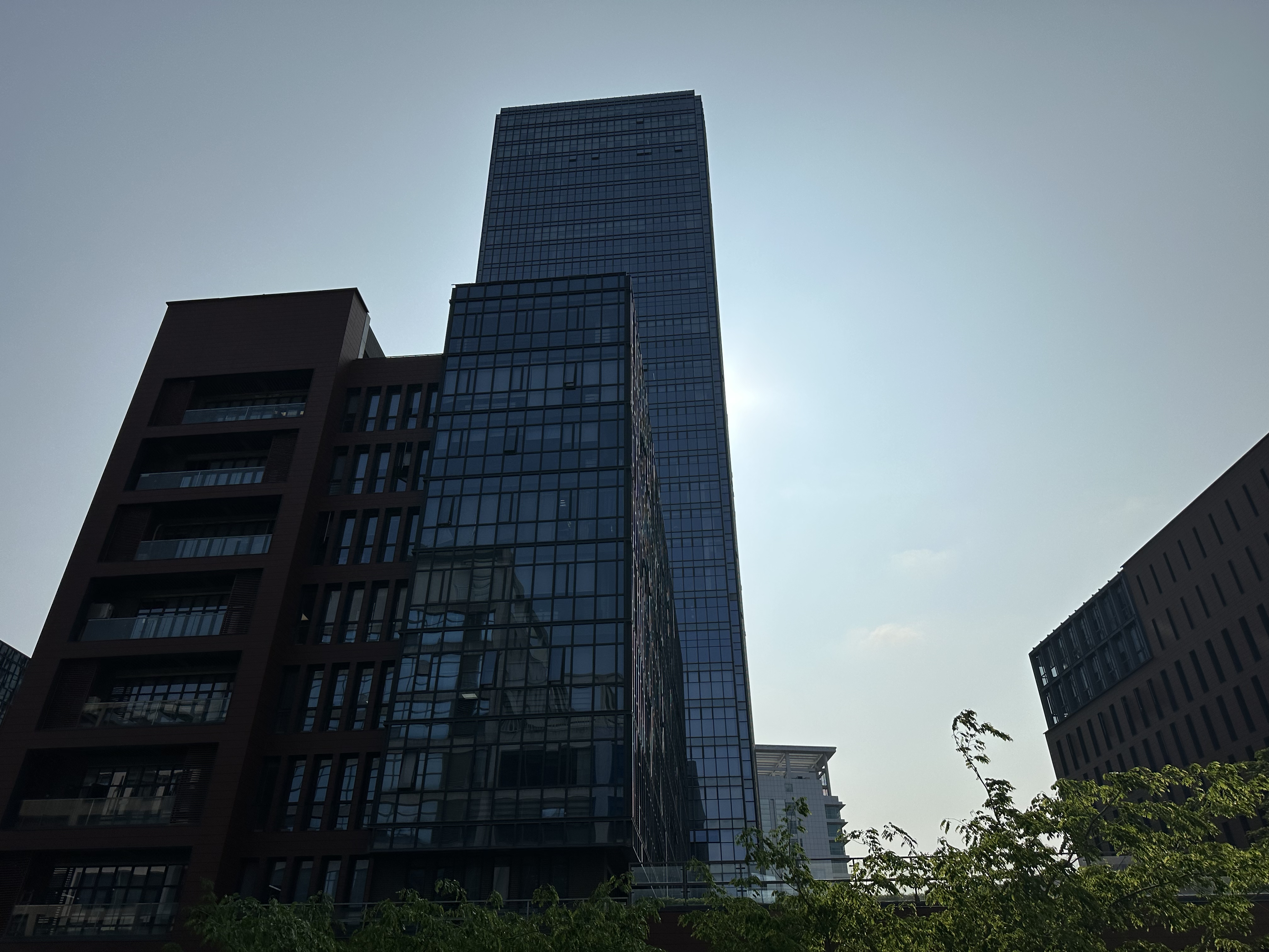 苏宁肩负重任，必须全力以赴迎接新的挑战